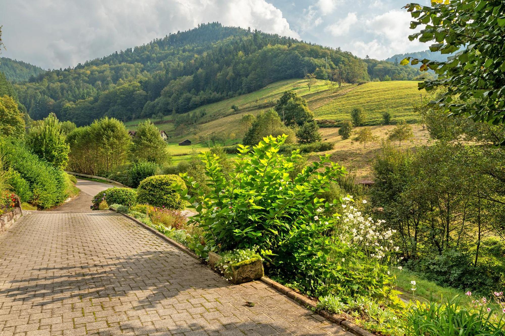 Ottenhofen im SchwarzwaldHaus Schindlerアパートメント エクステリア 写真